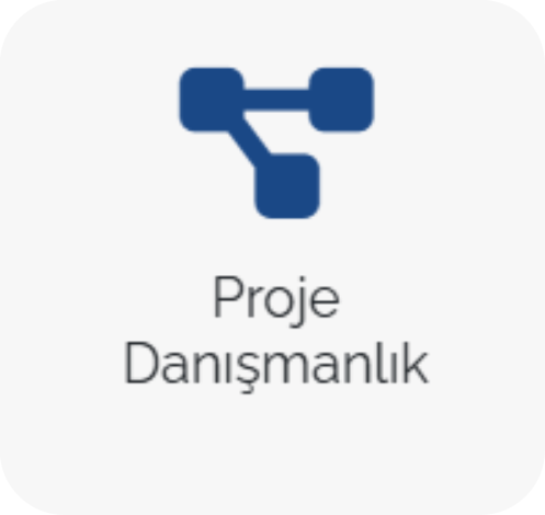 img-proje-danismanlik.png
